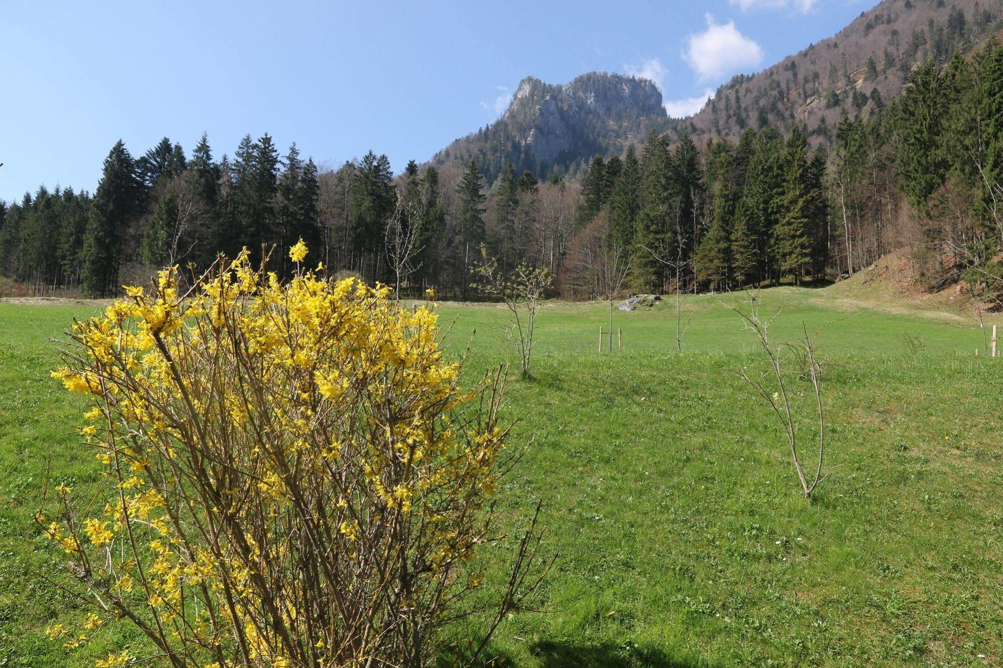 Chalets & Apartments Beim Waicher Ruhpolding Εξωτερικό φωτογραφία