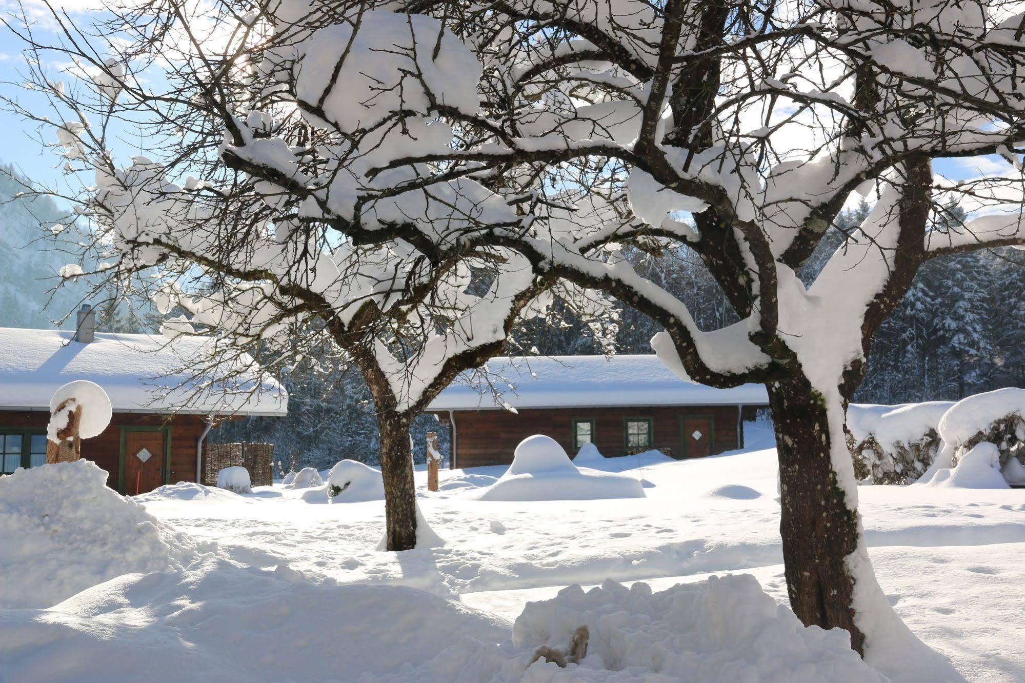 Chalets & Apartments Beim Waicher Ruhpolding Εξωτερικό φωτογραφία